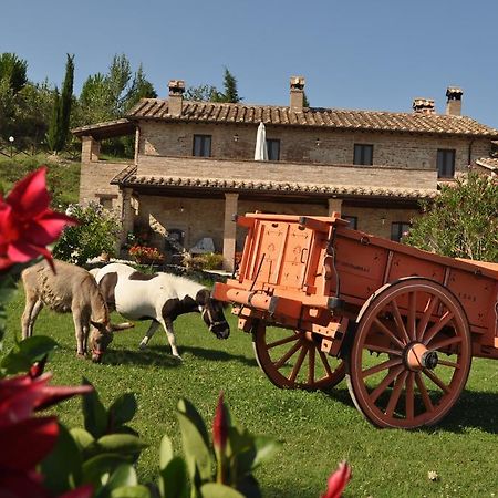 Farm Stay Il Carro Del Colle Collevalenza Exterior photo