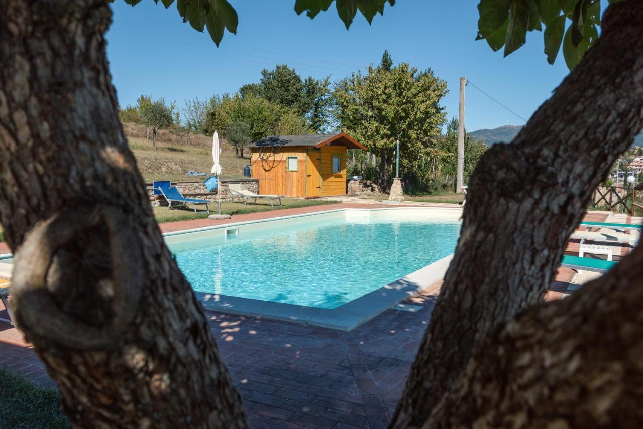Farm Stay Il Carro Del Colle Collevalenza Exterior photo